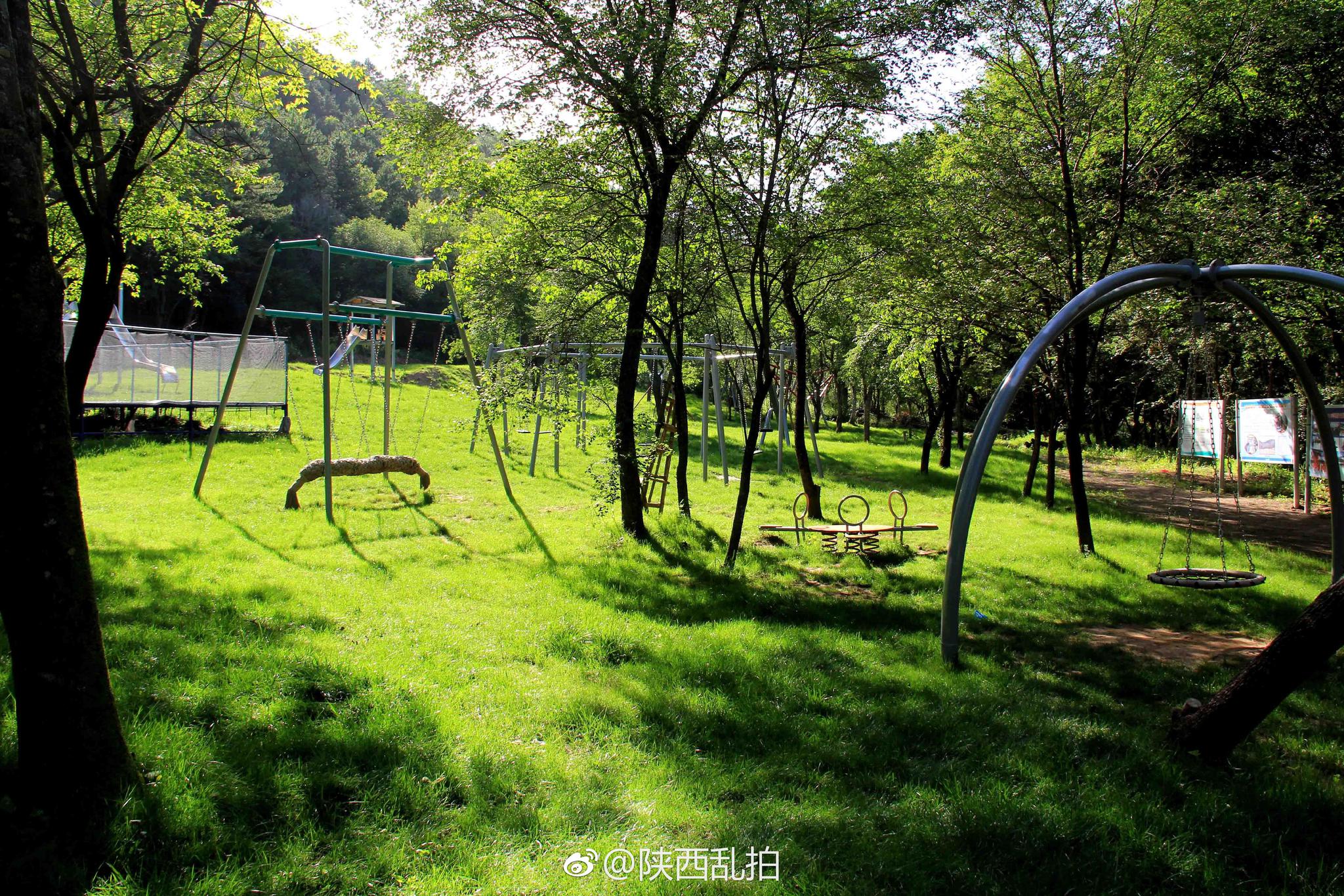 树顶漫步自然科普教育基地