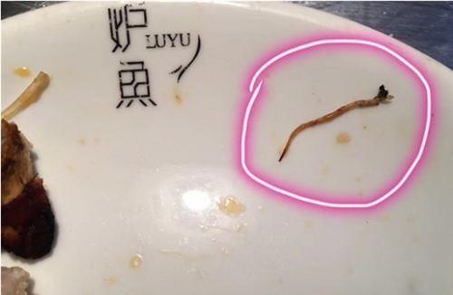 餐廳吃魚見寄生蟲 店長一口吃下去「這是魚筋, 可以吃! 」