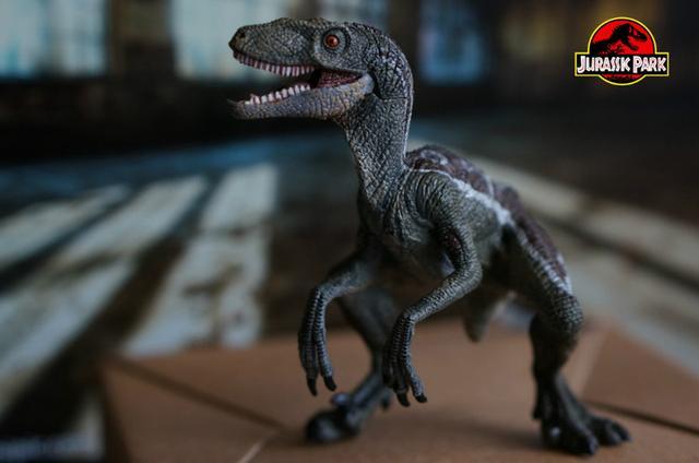 3米体长:1米战斗指数:6美颌龙属又称细颚龙,细颈龙,新颚龙,秀颚龙,是