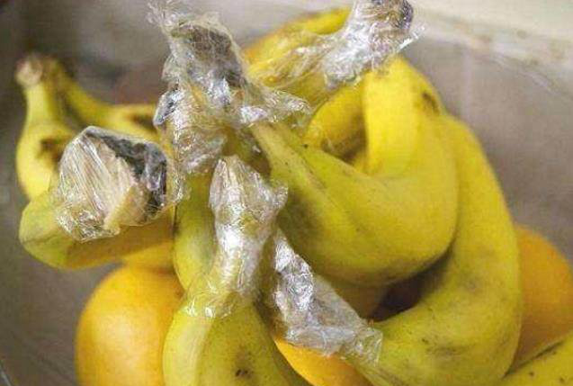 香蕉的保鲜方法,把还没有熟透的用保鲜膜包住香蕉头,这样子做可以这样