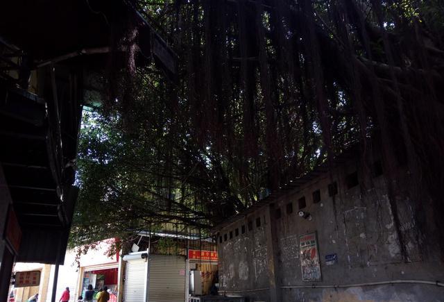 行走厦门城中村之四蔡塘有在附近的朋友吗