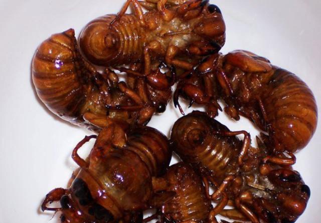 这些油炸昆虫宴你吃过吗