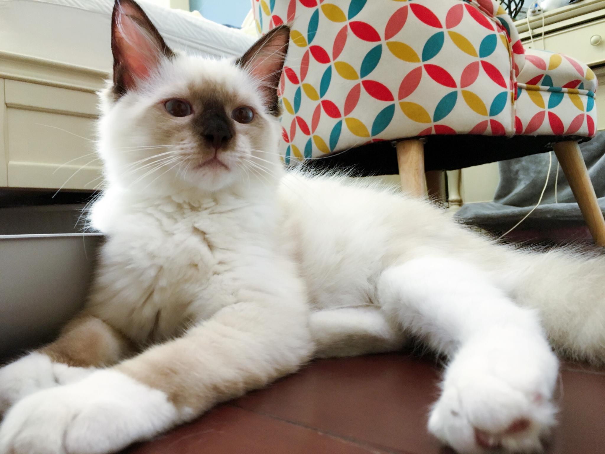 弟弟今天发烧,所以应该没办法直播了,等他稳定之后再开直播|爱心|李喜