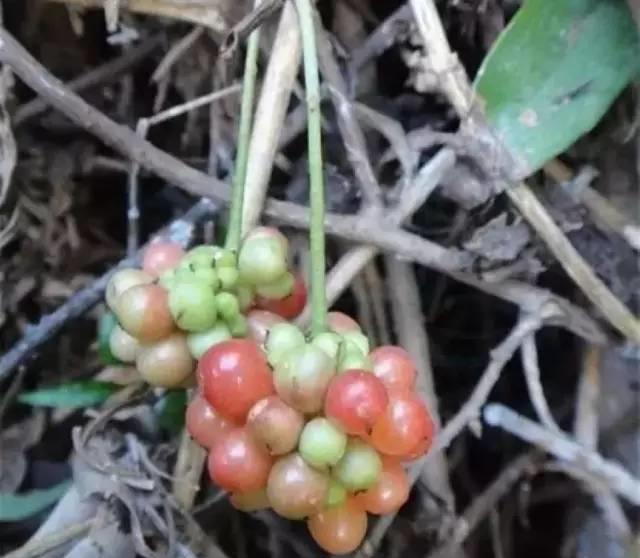 让我们一起回味一下吧