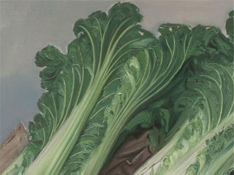 它们是地球上最贵的两颗白菜,价值40万,看完你觉得值吗