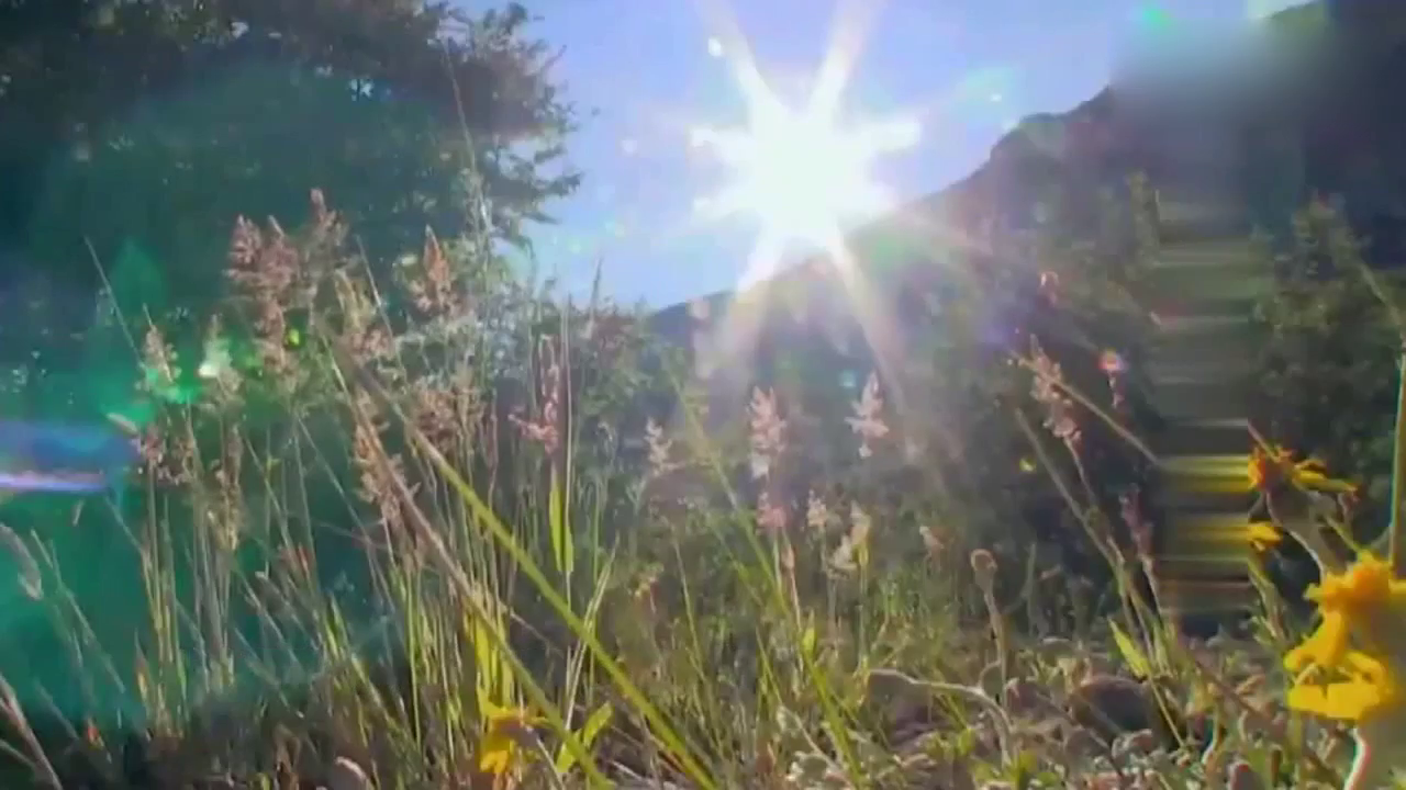 NFL最强跑卫与嫩模海滩游玩 辣妹戏水竟忘穿