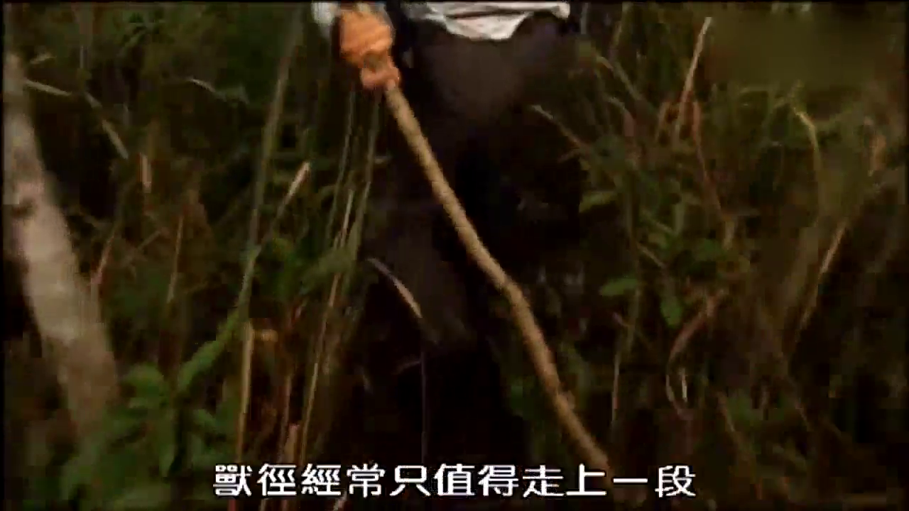 用阿司匹林和维生素c来浇花养不好都难看完视