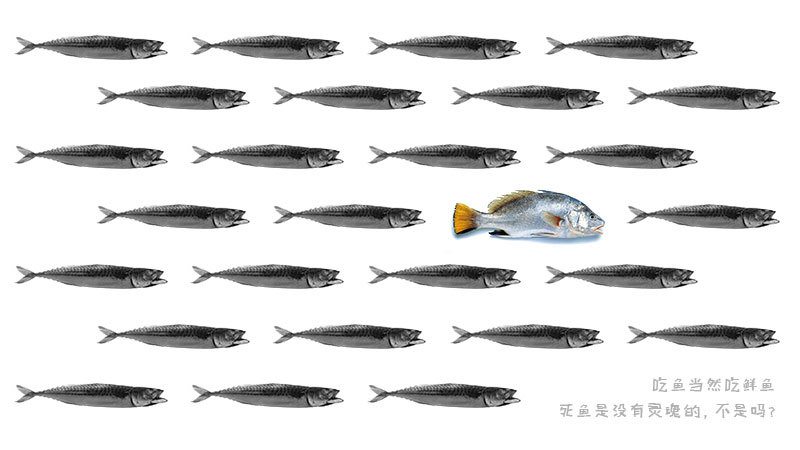 色彩特异↓构成3:渐变构成渐变表现的时一种循序渐进,有规律的,有秩序