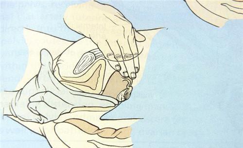 生孩子时开十指医生要将双手全部伸到里面? 看完真心疼女人