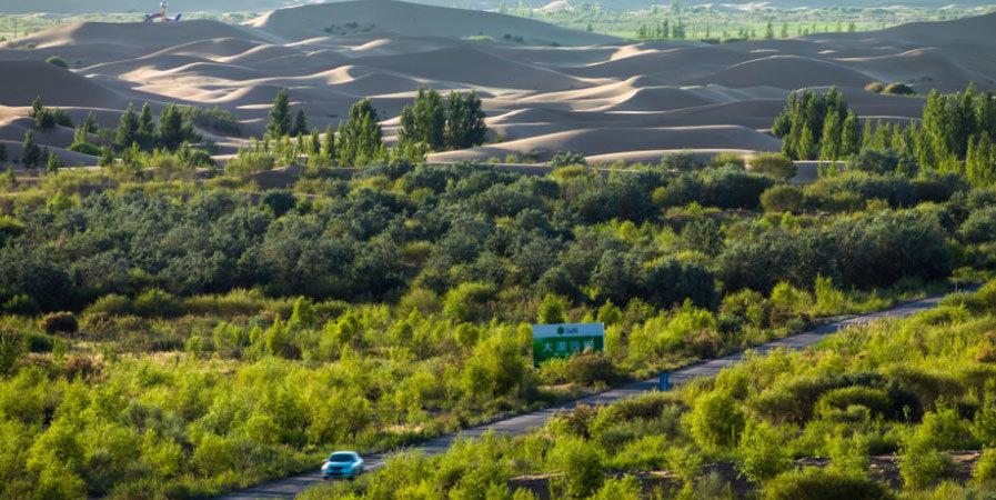 中国努力30年,将死亡沙漠变绿洲,现在出现一物却让人心寒