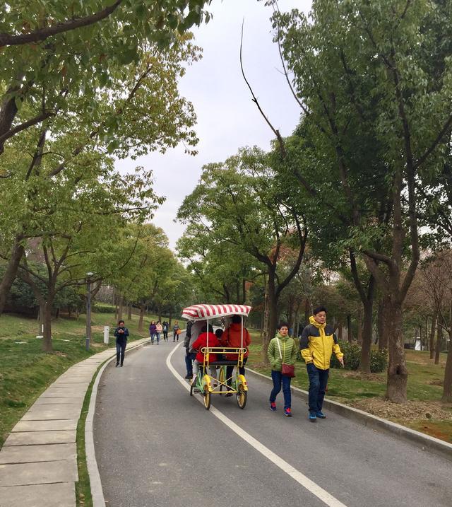 周末出游不用愁,宝爸宝妈这里瞧