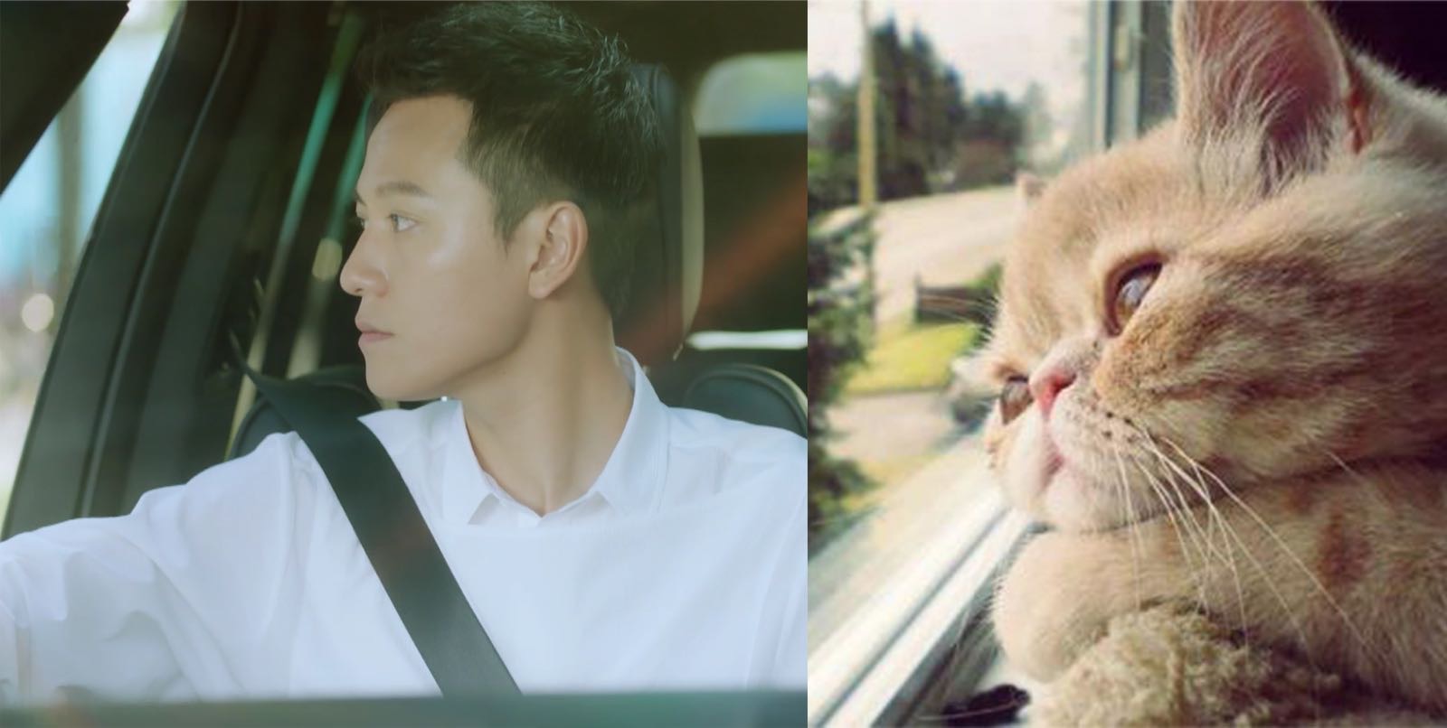 欧辰@秦俊杰 这是要承包的萌点嘛!