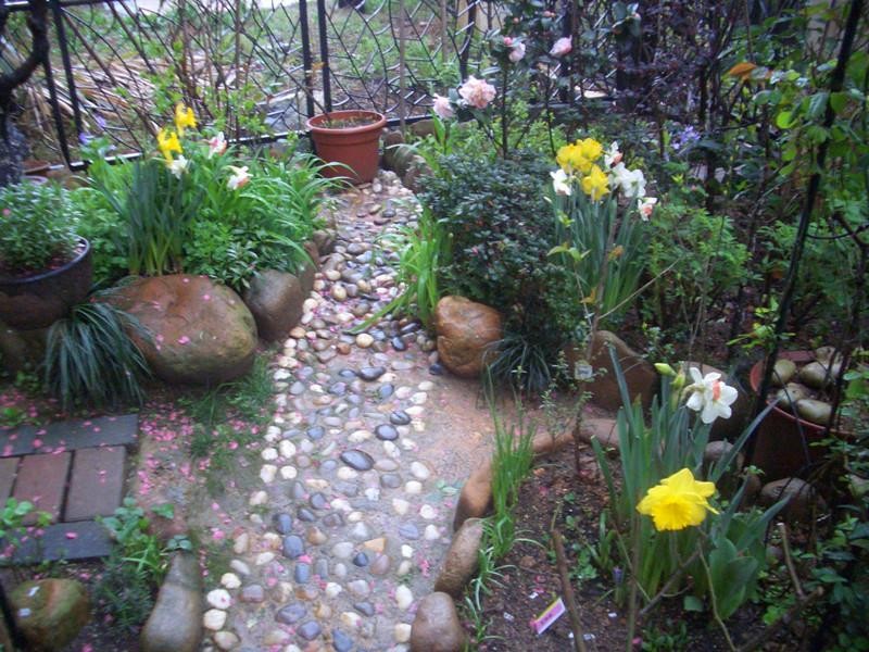 邻居家卫生间铺鹅卵石,真洋气!老婆看完回家铺这里,天才啊!