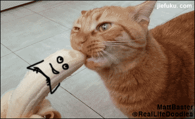 389_238gif 动态图 动图