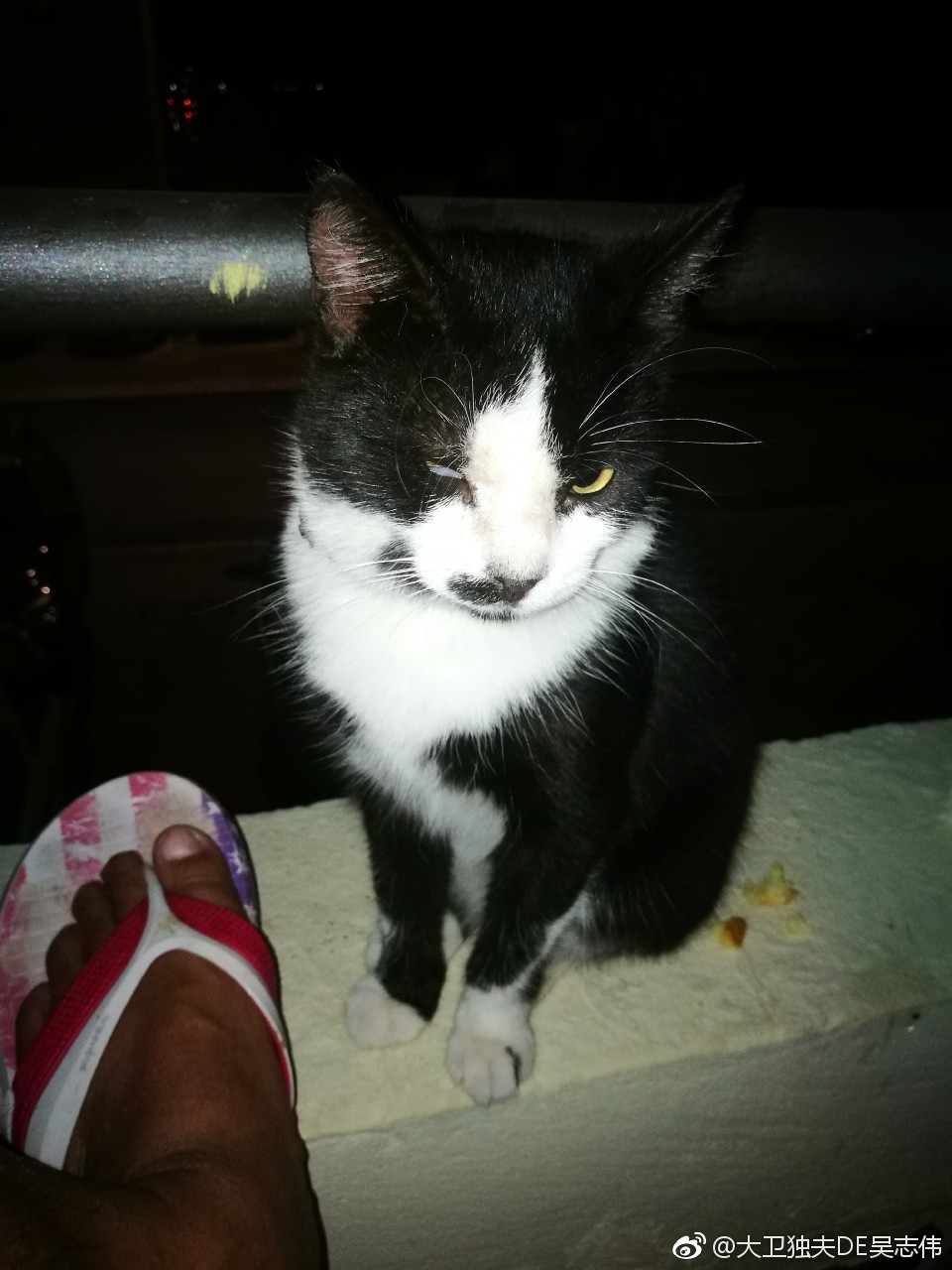 海盗脸真的很霸道啊