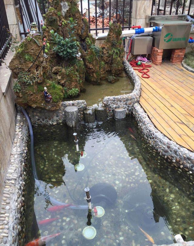 庭院鱼池设计业者几十年经验传授