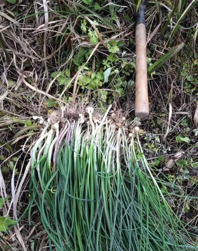 让我们一起回味一下吧