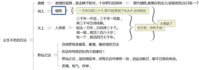 西游记思维导图大全