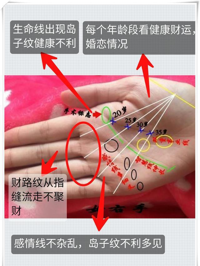 对于很多朋友生命线,如果比较杂乱,岛子纹路多,代表健康方面需要预防