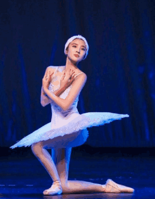 《我们来了》捕获"天鹅"5小只, 哪一个是最美丽呢?