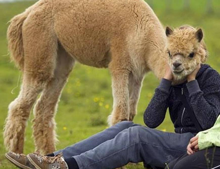 5张巧合图建国以后的动物都成精最后一个大姐好可爱