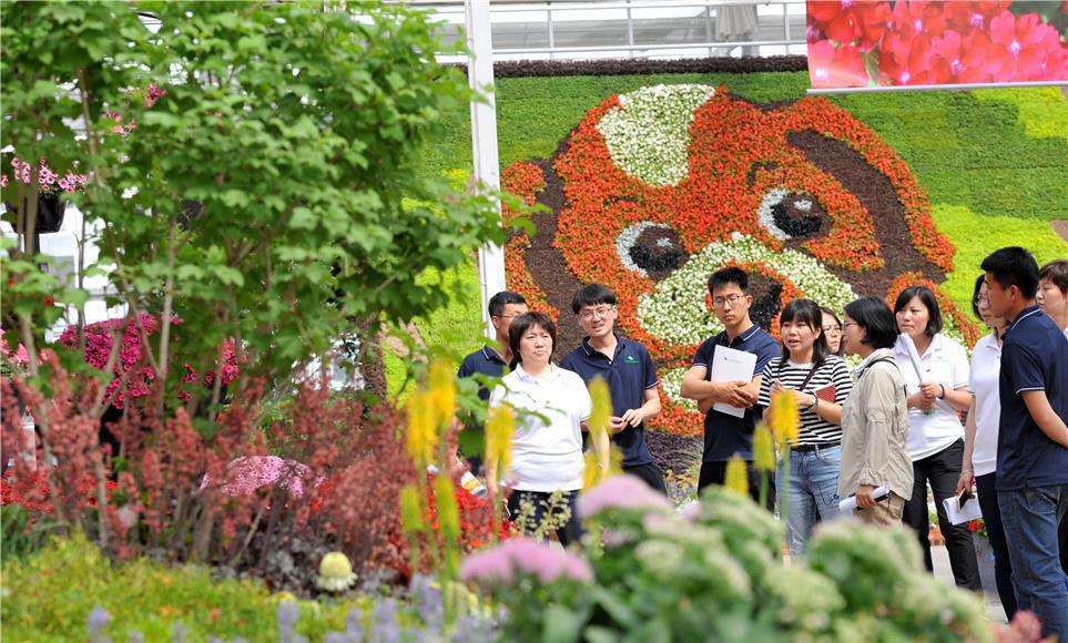走近世园花卉 第六届北京花木春季花展开幕