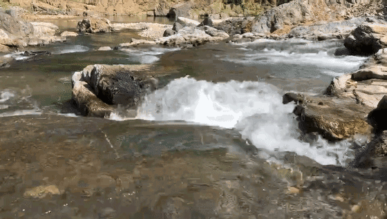 560_317gif 动态图 动图