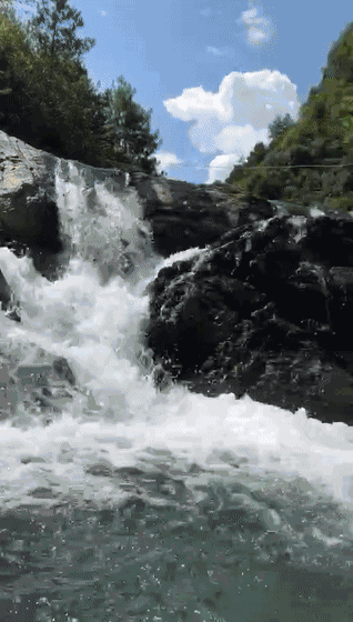 318_560竖版 竖屏gif 动态图 动图