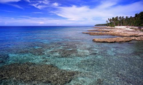 亚洲一国不到半年就被灭了,国民逃到荷兰,至今还在打游击|荷兰|安汶岛