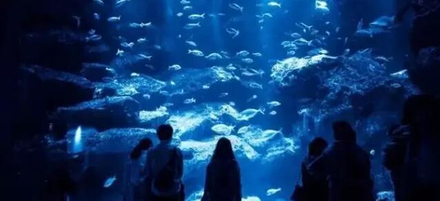 上海适合带娃玩一整天的8大亲子商场