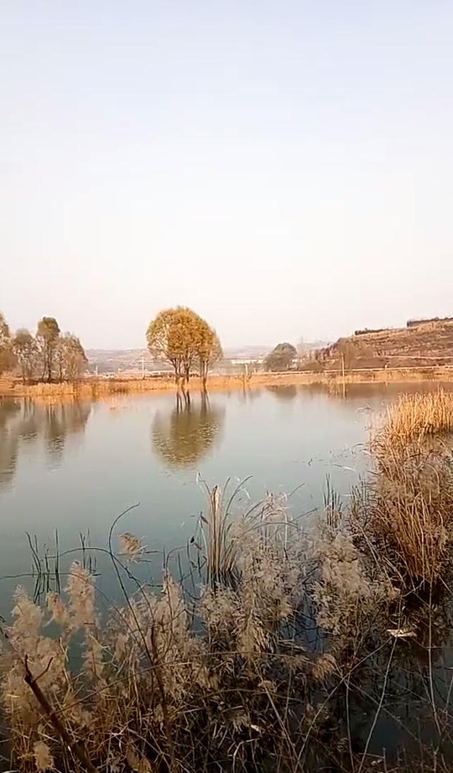 山西省屯留县极力打造 屯绛水库旅游休闲这张名片