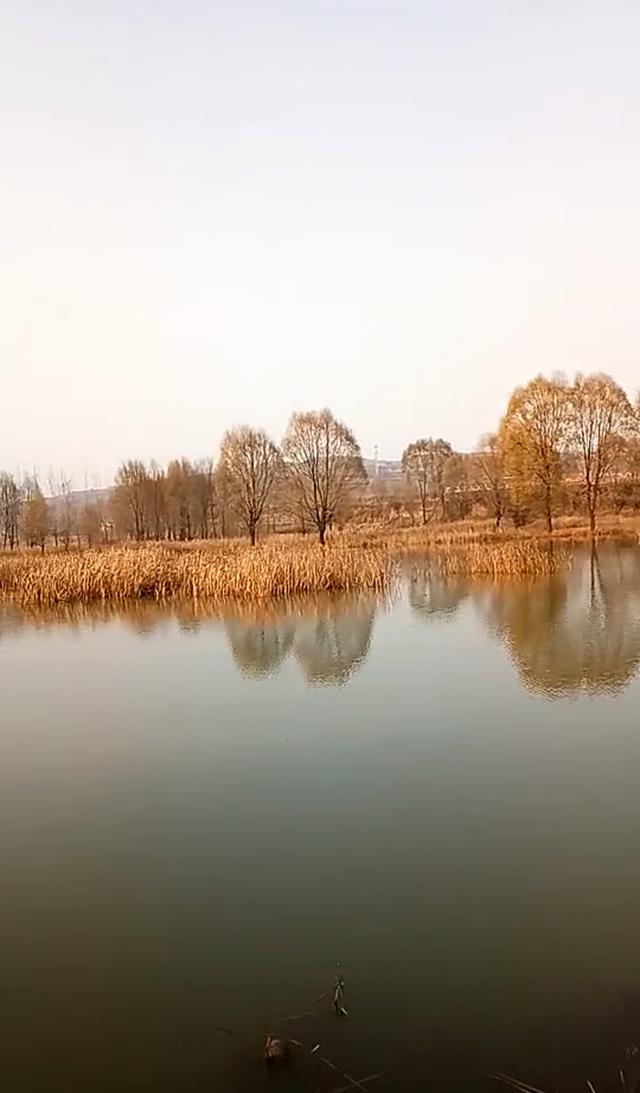 山西省屯留县极力打造 屯绛水库旅游休闲这张名片