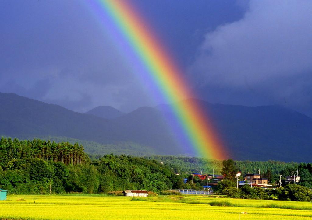彩虹 动力火车|动力火车|彩虹|天空_新浪新闻