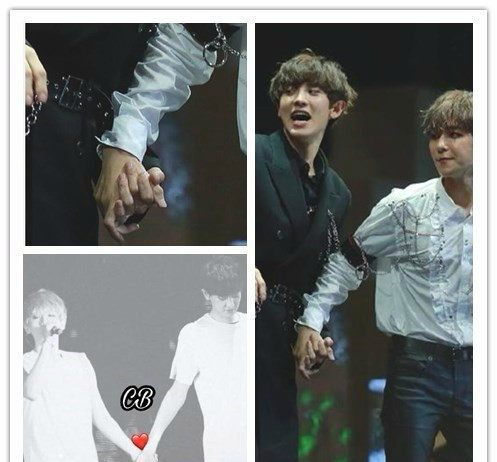 我装作什么都不懂的样子,灿白真的点燃了我的腐女心.