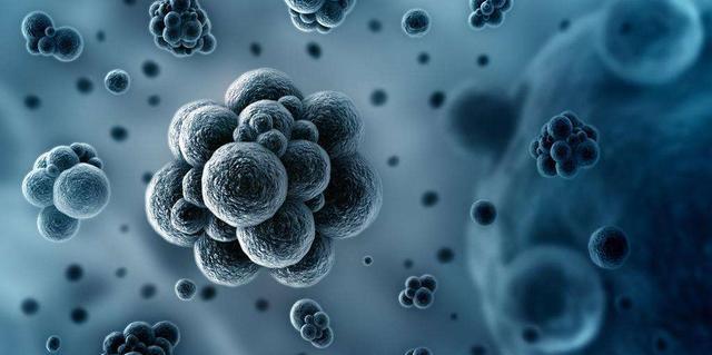 宝宝发烧了, 怎么分辨是细菌感染还是病毒感染, 及处理方法|细菌性