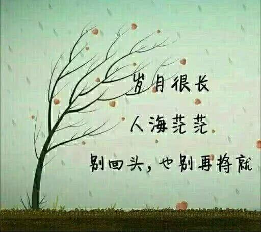 心太酸,伤太美,爱太深,现实太假,还是自已太傻