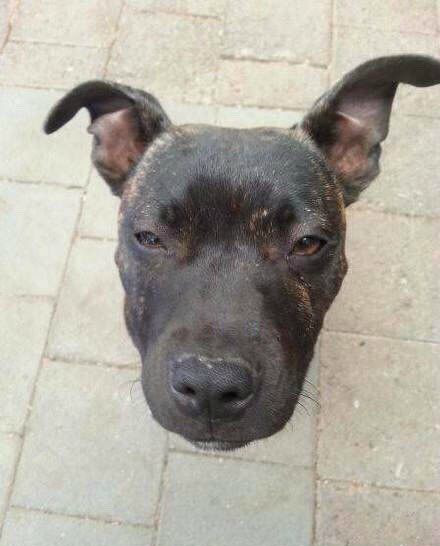 换个角度,你也能拍出这样的照片