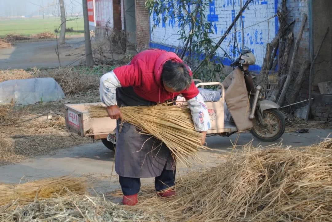 疏于表达的情感:父母对我们最深厚的爱,就是拼命地干活!