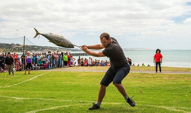 8个爱扔人的东西的节日!