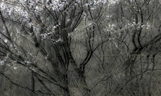 吴铁壁摄影作品欣赏:怀柔响水湖风景区