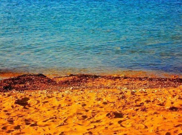 google由于沙子里含铁量高,又没有火山岩中颜色较暗的沙子来中和,才