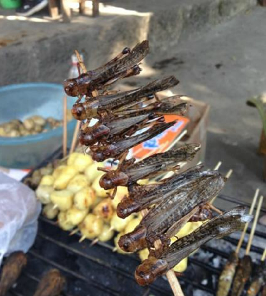 街边7大黑暗烧烤全部吃过才敢叫资深吃货我一种都不敢吃