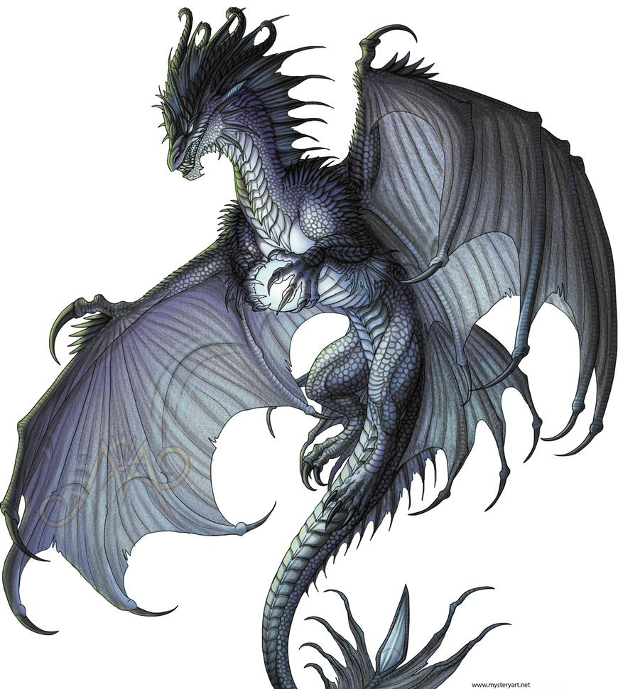 动物都能画的这么帅气看挪威插画师绘制的如同图腾般的动物插画