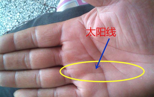 手相中这条线的出现之时,才是你好运和财富的开始|财富|太阳线|无名指