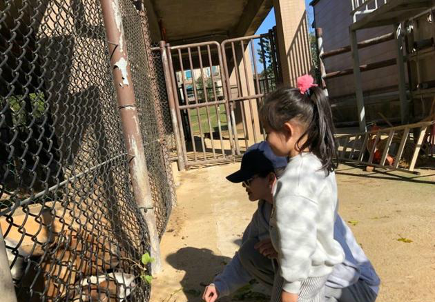 难怪汪小菲这么宠女儿小玥儿笑起来简直跟大s一模一样