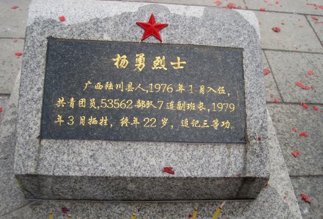 杨勇烈士安葬在,麻栗坡烈士陵园,这里长眠着937位解放军战士.