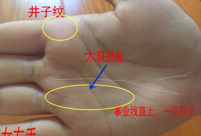 手相中这条线的出现之时,才是你好运和财富的开始|财富|太阳线|无名指