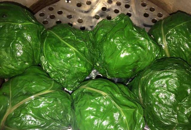 对付莙荙菜,是一种外洋引进种类,叶做蔬菜,茎叶有清热解毒,行淤止血