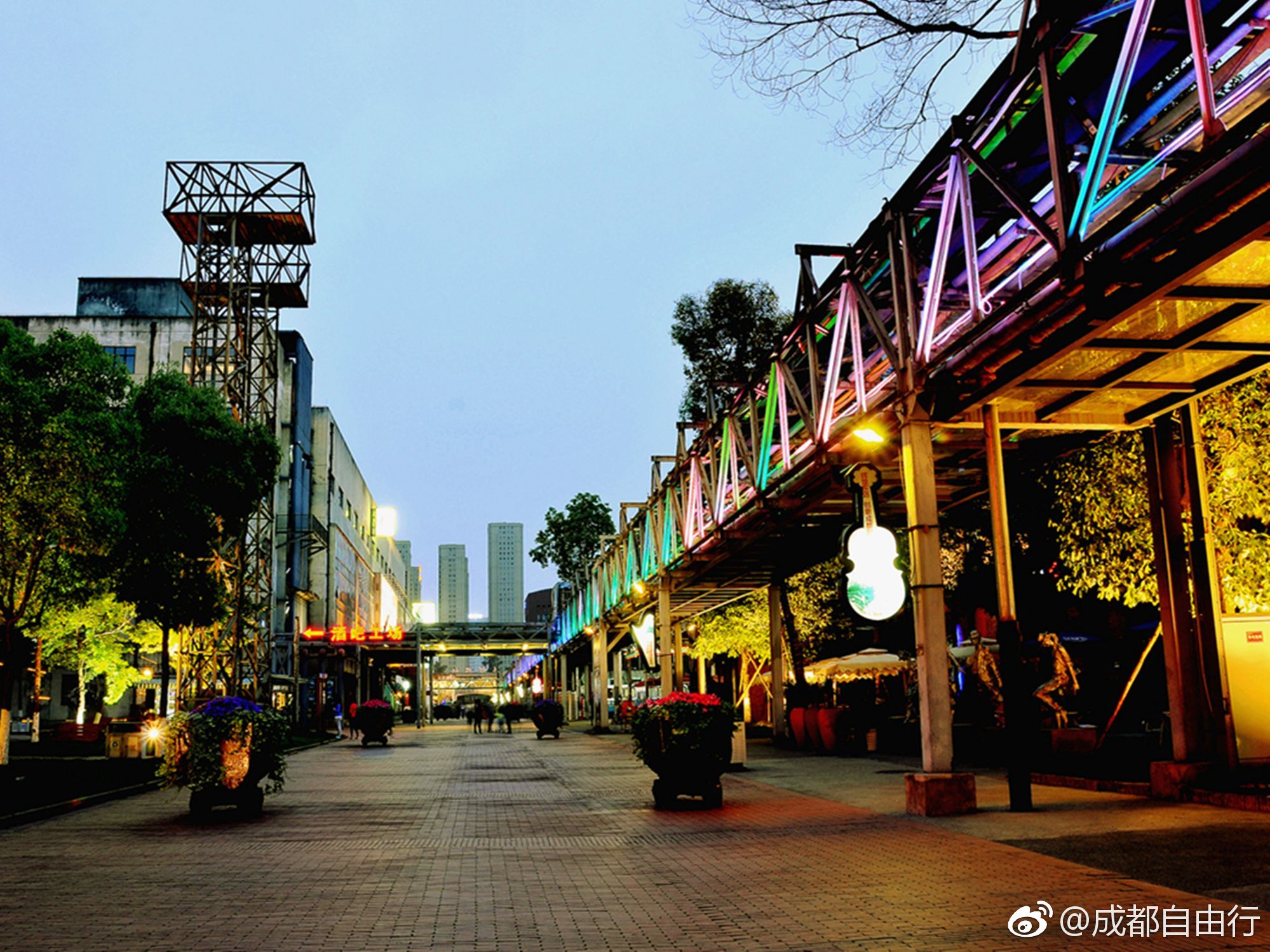 东郊498服务类型全解析：半套还是全套？