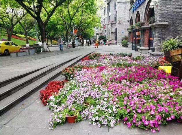 今天就跟着汇客君来漫步其间,慢慢瞧瞧吧!汇客君不假思索,重庆!